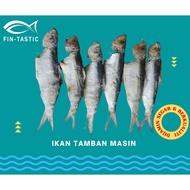 Ikan Tamban Masin/Kering Tanjung Dawai