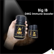 BIG IB DMG IMMUNE BOOSTER FOR CAT AND DOG IMMUNE BOOSTER DMG UNTUK KUCING DAN ANJING BULUSKING 70G