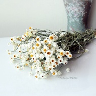White Dried Daisy Flower Bouquet Set Artificial Chrysanthemum Flower Arrangement Party Wedding Home