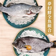 【澎食】 夢幻鮮全魚組合 (夢幻石斑550g*1、海鱸魚600g*1)