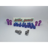 M10 TITANIUM Bolt *