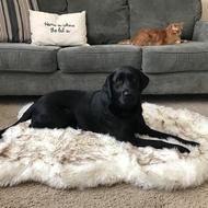 Hot Hot Hot Sale shopify Hot Sale Dog Plush Mat Beige Mat For Dog Rest