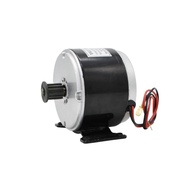 MY1016 250W 300W 12V 24V brushed motor , brush motor electric tricycle bicycles skateboards , DC gea