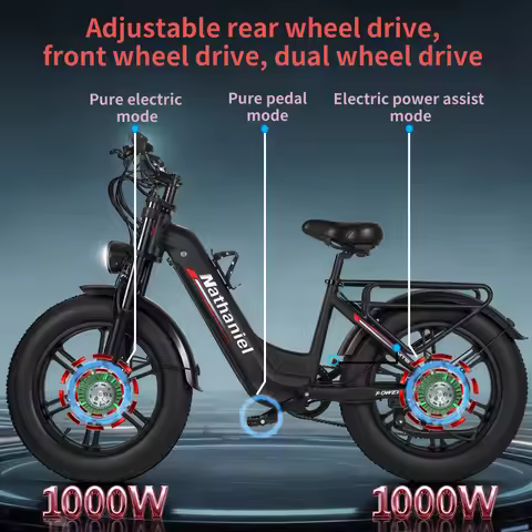 Nathaniel SYR08 City Commuting E-Bike,Dual Motor 2000W,20x4.0 Integrated Wheel,48V20AH,Speed 50+, Sn