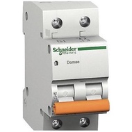 Schneider Mcb Domae 2P 50A - 63A