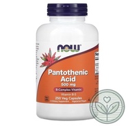 ✅IN STOCK✅ Now Foods, Pantothenic Acid, 500 mg, 100 / 250 Capsules (Vitamin B5) (C4)