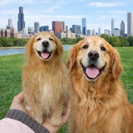 新婚 婚禮小物 結婚禮物訂製 客製化 新郎新娘 人偶 公仔 似颜绘