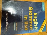 English Grammar in USe