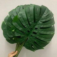 [Ready Stock] XL Size Monstera Artificial Leaves Green Leaf/ Daun Palsu Monstera/ Daun Hiasan