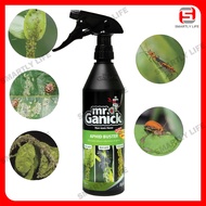 BABA Mr Ganick Aphid Buster Natural Pesticide Racun Perosak Non-Toxic RTU Ready To Use Aphid Beetle
