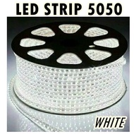 WHITE SMD 5050-60D Waterproof AC 220V LED Strip Light - Waterproof Outdoor LED Strip Hose
