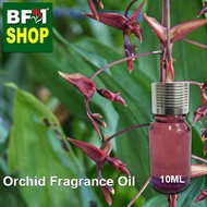 Orchid Fragrance Oil - Jack Spaniard > Gongora maculata