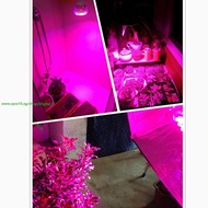 E27 18W LED Plant Grow Light Hydroponic Lamp Bulb 14 Red 4 Blue Energy Saving for Indoor Flower Plan