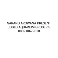 Akuarium Kaca x 10 15 20 25 30 35 40 50 60 Aquarium Soliter Termurah