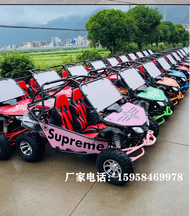 Electric Go-Kart Car Durable Off-Road UTV for Adult Automatic Gear Tourist Spot Operation Popular Do