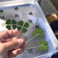 5-20Pcs Acrylic Lucky Artificial Four-Leaf Clover Bookmark - Simulate Four-Leaf Clover Transparent W