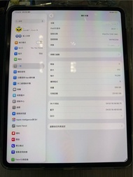 電池🔋100% Apple iPad Pro 13吋 (M4) 256GB WiFi 太空黑色