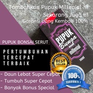 Shaved Bonsai Fertilizer, Shaved Bonsai Fertilizer, Fertilizer for Shaved Bonsai, Natural Shaved Bon