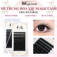 Chinese VIP Curved Eyelash Tray LJ-LB-LC-J-B-C-D sole 3 length 8-16mm Artificial Eyelashes - Thuy Ha