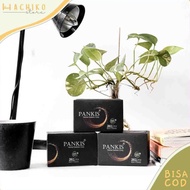 Pankis (DIAMOND) 5 Box - Usir Diabetes Menahun - Teh Herbal PANKIS