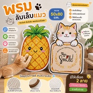 Cat Scratching Mat Size 50*80 cm. Pineapple & Pattern Smile (DY-BRCP-007-008)