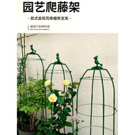 K-Y/ Chinese Rose Flower Stand Lattice Flower Stand Clematis Climbing Jackstay Stand Rose Plant Rattan Stand Fixed Suppo