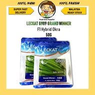 50G LECKAT BIJI BENIH G989  989 GRAND WINNER OKRA APPLE GREEN SEEDS LECKAT PREMIUM F1 HYBRID SEED BENDI