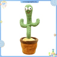 Dencing Cactus Cactus Plush Toy Talk Kaktus Bercakap Dancing toy song plush Dancing Cactus Early Chi
