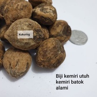 Shell Pecan Seeds Unit Pecan Shell Or Muncang Shelles | Biji Buah Kemiri Batok Satuan Kemiri Cangkang atau Klatak Muncang