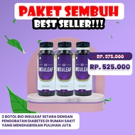 Bio Insuleaf – Herbal Alami Cegah Diabetes Turunkan Gula Darah Cegah Kencing Manis Asam Urat & Koles