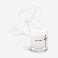 Maison Louis Marie｜香氛蠟燭─果然白玫瑰 Antidris Cassis
