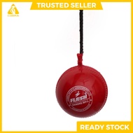 Flash Hanging Cricket Ball