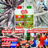 ส่งฟรี🎉 ปุ๋ยน้ำบูม99 แถมเสื้อ  เร่งแป้ง ขยายหัวมัน ‼️