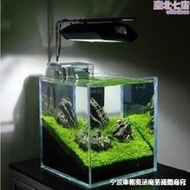 【可開發票】金晶超白魚缸 迷你水族箱 生態缸20/25cm 30-50釐米小方缸熱彎缸