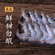 【基隆區漁會】 嚴選白蝦600g (3包組)