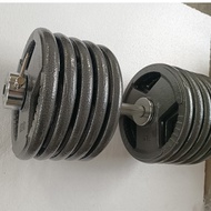 Paint Dumbbell Large Weight Detachable 20kg 30/50/100kg Men's Fitness Equipment Subbbbell Barbell Se