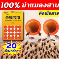 100%ฆ่าแมลงสาบ ยาฆ่าแมลงสาบ ภายใน1000เมตรแมลงสาบตายกันหมด  ยาไล่แมลงสาบ บอกลาแมลงสาบ ยากำจัดแมลงสาบ แพร่เชื้อตาย กำจัดแมลงสาบ ฆ่าแมลงสาบยกรัง เหยื่อแมลงสาบ แมลงสาบชอบกิน เหยื่อกำจัดแมลงสาบ เจลกำจัดแมลงสาบ ที่ดักแมลงสาบ cockroaches killer แมลงสาบ กำจัด