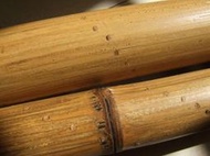 台灣天然竹 帶皮竹棍30-120公分直徑約2.5公分可當白蠟桿 齊眉棍 少林棍  健身棍 防身木棍太極棍 猴棍天然竹鞭