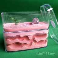 Castle Ant Nest Ant d Nest WNAJ