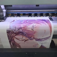 Print Albatros Posters