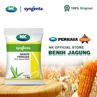 Benih Jagung NK 6172 | NK PERKASA - 1Kg