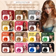 (Live) Organic HAIR Dye CREAM YOKO COLOR SET