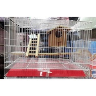 Bird Cage + With Accessories
