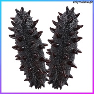 2 Pcs Models Decorative Sea Slug Prop Artificial Cucumber 14.00X6.00X4.00CM Black Pvc  zhiymais4w