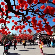Chinese New Year Decorative Red Velvet Lantern, Mid-Autumn Festival Hanging Lantern String 2027 Peac