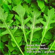 Benih Sayur Salad Rocket Arugula Seed Benih Sayur Vegetable Seed 200 biji per pack