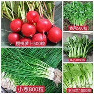 Seed、Easy to Live20Planting Four Seasons Vegetable Seeds Coriander Cabbage Onion Leaf Lettuce Balcony Potted Farmland Ve