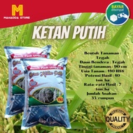 Benih Bibit Padi Unggul Ketan Putih Berkualitas 1Kg