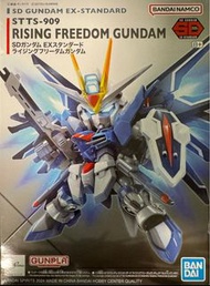 SD Rising Freedom