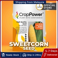 Hot Item (100 GRAM) Biji Benih Jagung Manis Asia Manis 亚太甜王 SS932 CROP POWER F1 HYBRID  Sweetcorn Se